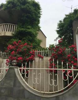 Частный дом с отдельным входом - 0