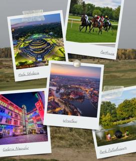 Cozy Corner: apartment with WiFi and Private Balcony - 3