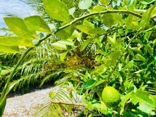 Finca Casa Blanca - 1