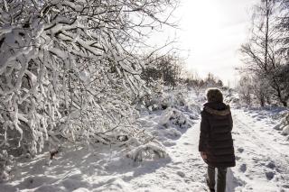 Haus Alleegarten - 7