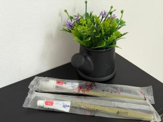 Luna Bliss Taman Koop AST Lobak Budget Hotel Room - 1