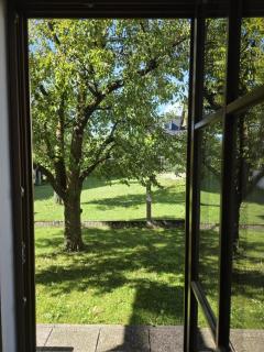 Knusperhaus mit Garten - 4