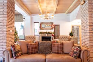 LeMont Chalet Arachova - Arachova - 4