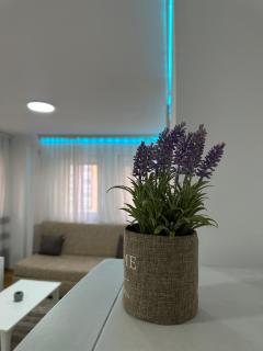 Prishtina Urban Apartment 2 - 2