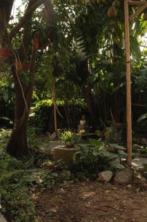 Tam Coc Thoms House - 2