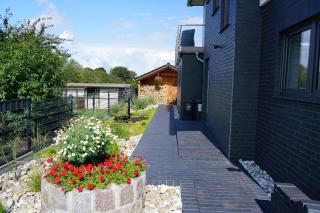 Ferienwohnung Passat in Olpenitzdorf - Olpenitzdorf - 3