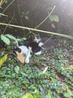 Tam Coc Thoms House - 9