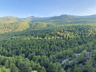 Casa Paz y Calma - 5