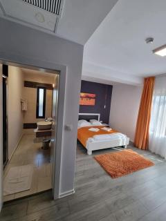 Pensiunea Confort Morosanu - 7