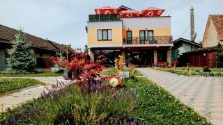 Pensiunea Confort Morosanu - 5