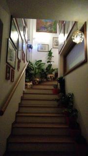 Oasi Gioia verde - 6