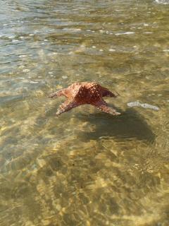 Flat coração de Angra - 2