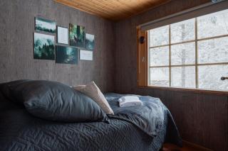 Alpine Fox by Aavalevi - Levi - 6