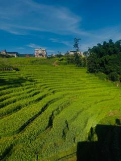 Bhaktapur Yog Homestay - Bhaktapur - 8