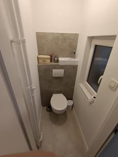 Specious Apartment in Downtown - 2