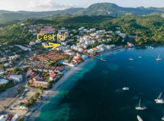 L'Oasis Tropical - 6