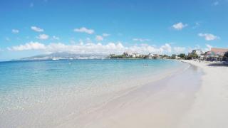 L'Oasis Tropical - 4