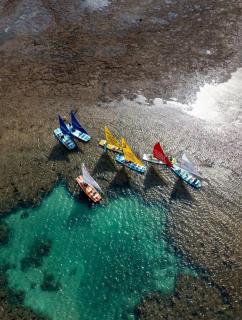 Beach Class Garden - Pé na piscina - 2