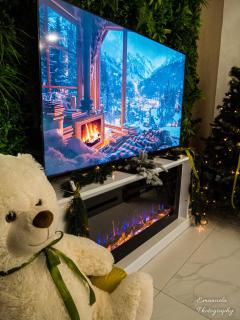 Penthouse View Aeroport Iasi - 3