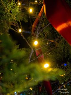 Penthouse View Aeroport Iasi - 1