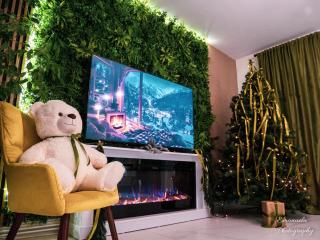 Penthouse View Aeroport Iasi - 6