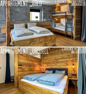 Alpine Apartment Goldquell - Infrarot Kabine, National Park Sommerkarte und Bergblick - 0