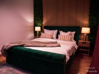 Penthouse View Aeroport Iasi - 5