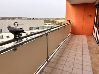 Leo2000 - Leonberg - 9