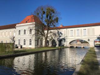 Royal Swan am Schlosspark Nymphenburg - 4