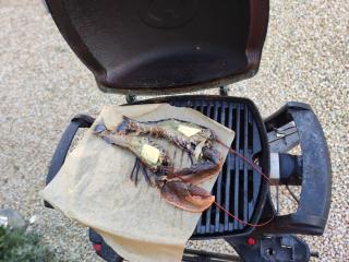 Location en bordure du Trieux - 3