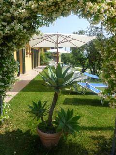 Agriturismo Dondino - 1