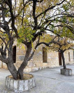 House of Rocks Guesthouse Lebanon -  - 0