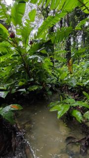 Terranostra Garden Suite - 3