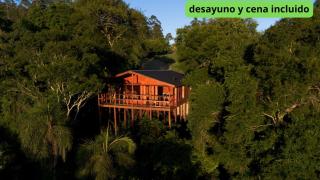 Piedra y Agua Cabañas & Ecolodge El Soberbio Misiones Saltos del Moconá - 9