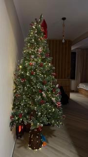 Studio 15 Eco Village Kokhta - 4