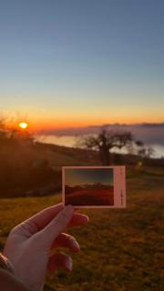 La Paloma San Zeno - 5