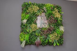 Seaview 3 bedroom Apartment Sleep 8 Guests - 6