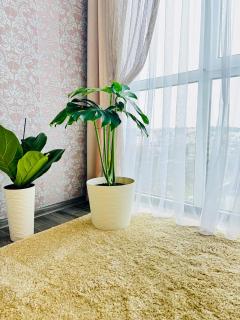 2 rooms apartment central part - Ternopil - 5