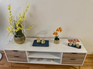 Aconchegante apartamento mobiliado no coração de Santiago - 1