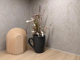 Rovaniemi Tiny Nordic - 1