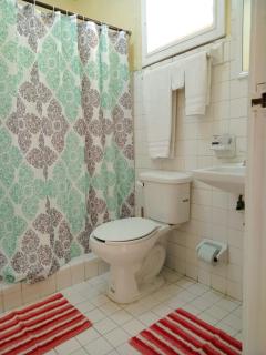 Budget Living in a Mexican Beach Town - Chelem - 6