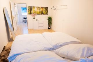 Apartment in St Blasien nahe Dom mit Parkplatz - St. Blasien - 7