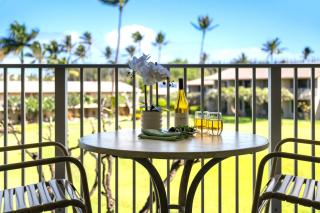 Napili Shores H261 - 9