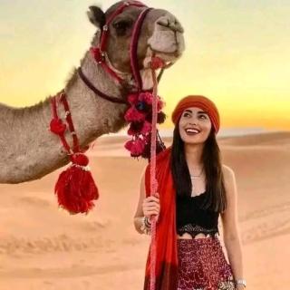 Merzouga Berber Camps - 1