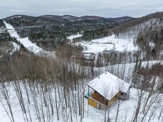 Chalet Le Greenwood - Mountain View & Private Spa - 6