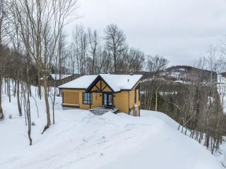 Chalet Le Greenwood - Mountain View & Private Spa - 5