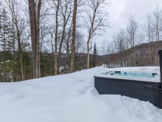 Chalet Le Greenwood - Mountain View & Private Spa - 2
