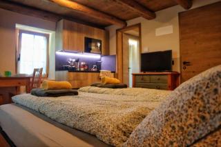 Ciesa Le Crepedele- Miniappartamento Mirandola - 9