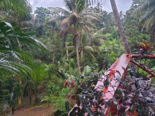 Master's Homestay - 5