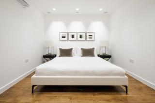 Spectacular luxury Knightsbridge townhouse - 3